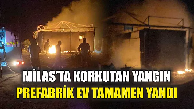 Milas'ta korkutan yangın: Prefabrik ev tamamen yandı