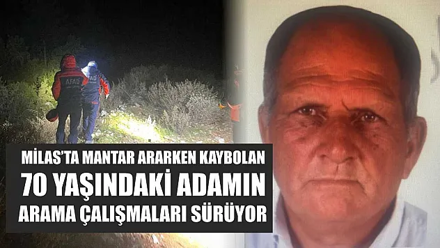 Milas'ta mantar ararken kaybolan 70 yaşındaki adamın arama çalışmaları sürüyor