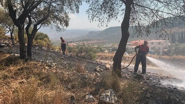 Milas'ta otluk yangını söndü, Güvercinlikte orman yangını başladı