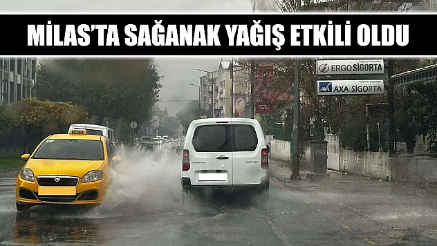Milas'ta sağanak yağış etkili oldu
