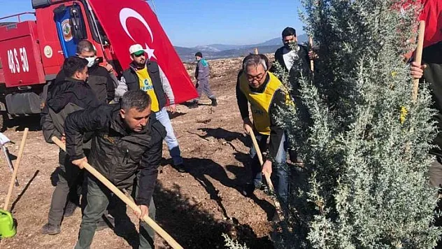 Milas'ta Türk-Kore dostluk ormanı