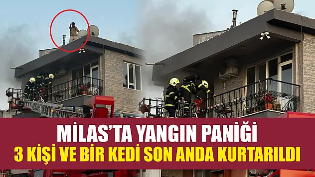 Milas'ta yangın paniği: 3 kişi ve bir kedi son anda kurtarıldı