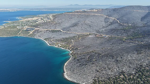 Milas'ta yeşille maviyi orman yangını ayırdı