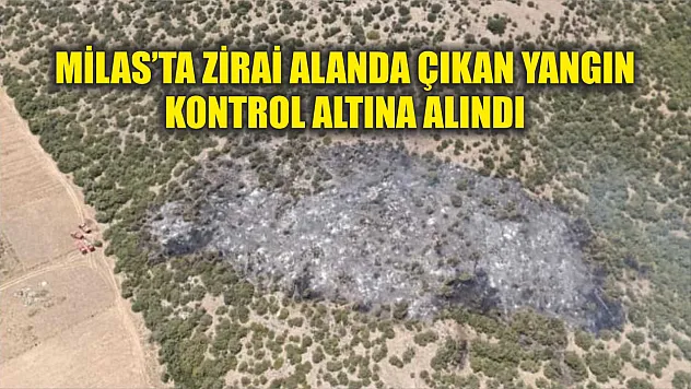 Milas'ta zirai alanda çıkan yangın kontrol altına alındı