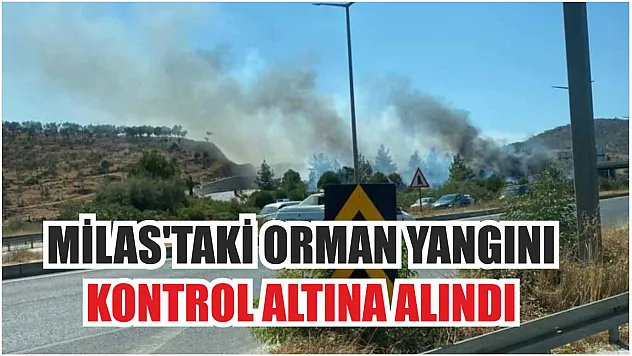 Milas'taki orman yangını kontrol altına alındı
