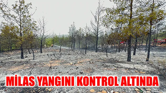 Milas Yangını Kontrol Altında