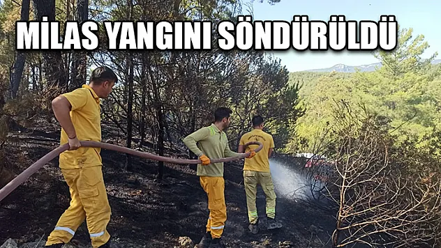 Milas Yangını Söndürüldü