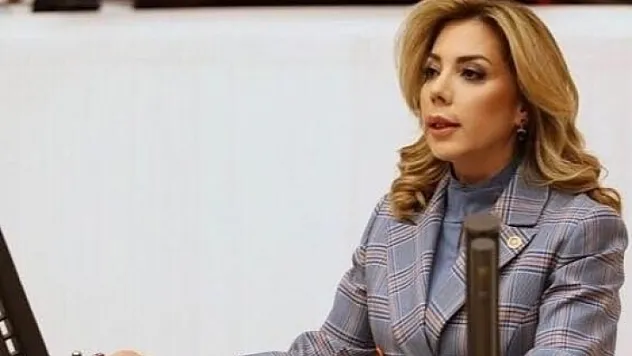 MİLLETVEKİLİ GÖKCAN'DAN KINAMA