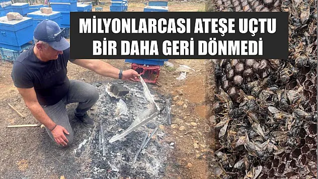 Milyonlarcası ateşe uçtu bir daha geri dönmedi