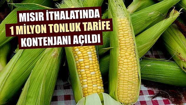 Mısır ithalatında 1 milyon tonluk tarife kontenjanı açıldı