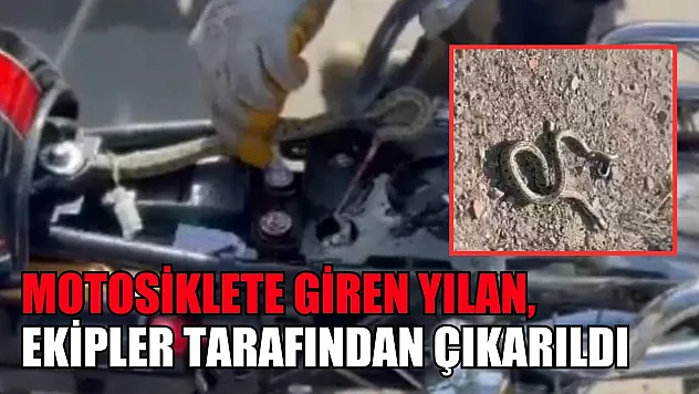 Motosiklete giren yılan, ekipler tarafından çıkarıldı