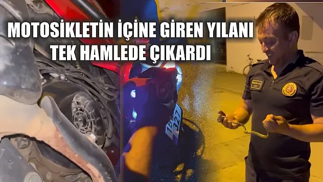 Motosikletin içine giren yılanı tek hamlede çıkardı