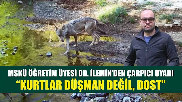 MSKÜ Öğretim Üyesi Dr. İlemin'den çarpıcı uyarı: 'Kurtlar düşman değil, dost'