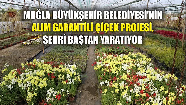 Muğla Büyükşehir Belediyesi'nin Alım Garantili Çiçek Projesi, şehri baştan yaratıyor
