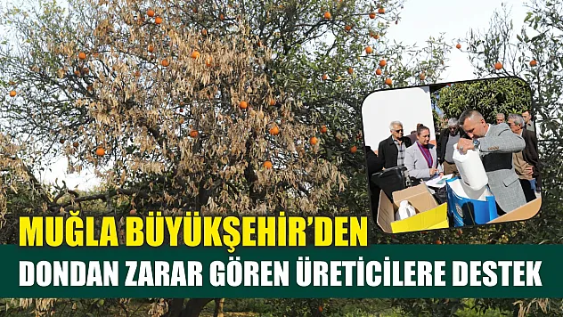 Muğla Büyükşehir'den dondan zarar gören üreticilere destek