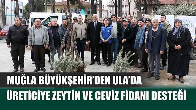Muğla Büyükşehir'den Ula'da Üreticiye Zeytin ve Ceviz Fidanı Desteği