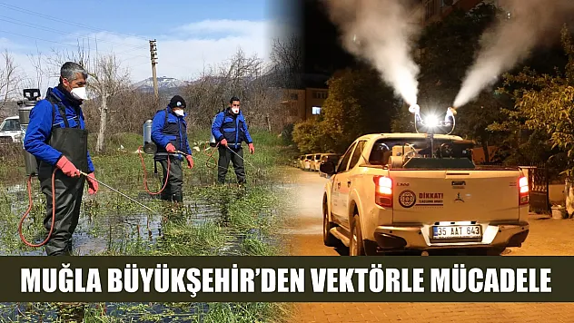 Muğla Büyükşehir'den vektörle mücadele