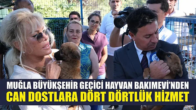 Muğla Büyükşehir Geçici Hayvan Bakımevi'nden can dostlara dört dörtlük hizmet