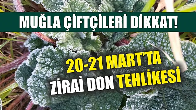 Muğla çiftçileri dikkat! 20-21 mart'ta zirai don tehlikesi