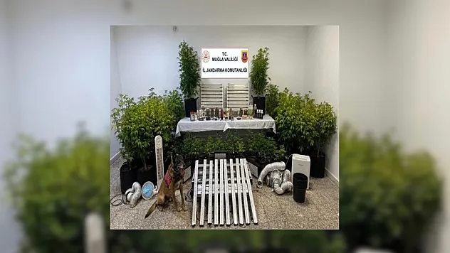 Muğla'da 15'inci yüzyıla ait Tevrat ele geçirildi