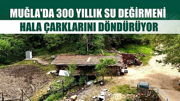 Muğla'da 300 yıllık su değirmeni hala çarklarını döndürüyor