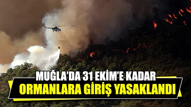 Muğla'da 31 Ekim'e Kadar Ormanlara Giriş Yasaklandı