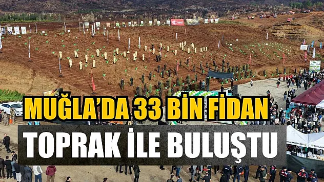 Muğla'da 33 bin fidan toprak ile buluştu