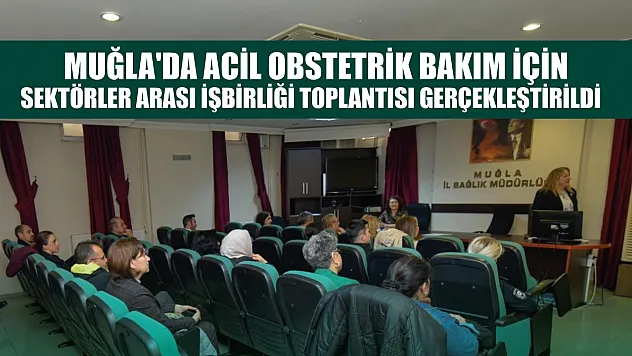 Muğla'da acil obstetrik bakım için sektörler arası işbirliği toplantısı gerçekleştirildi