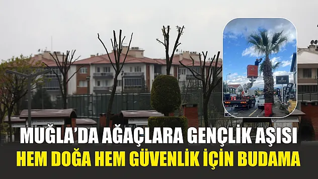 Muğla'da Ağaçlara Gençlik Aşısı: Hem Doğa Hem Güvenlik İçin Budama
