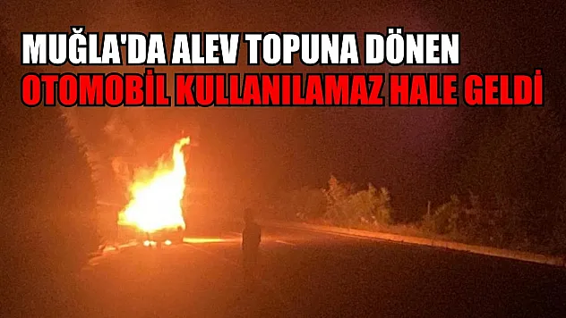 Muğla'da alev topuna dönen otomobil kullanılamaz hale geldi