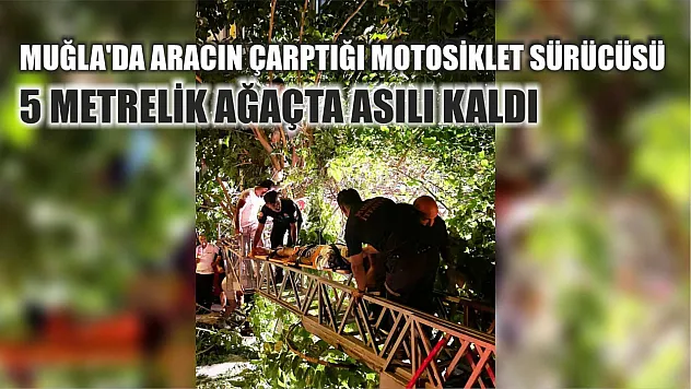 Muğla'da aracın çarptığı motosiklet sürücüsü 5 metrelik ağaçta asılı kaldı