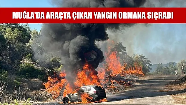Muğla'da araçta çıkan yangın ormana sıçradı
