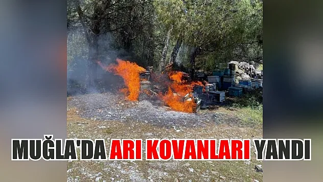 Muğla'da Arı Kovanları Yandı