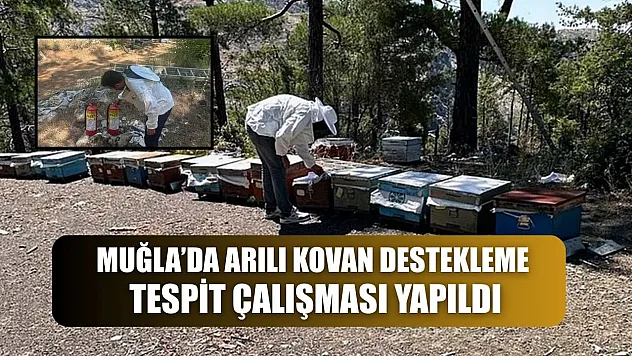 Muğla'da arılı kovan destekleme tespit çalışması yapıldı