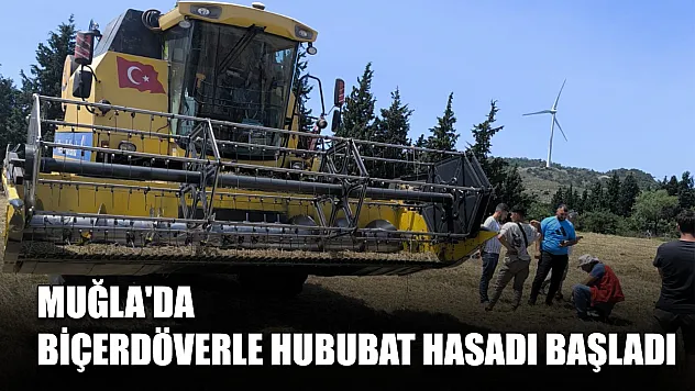 Muğla'da Biçerdöverle Hububat Hasadı Başladı