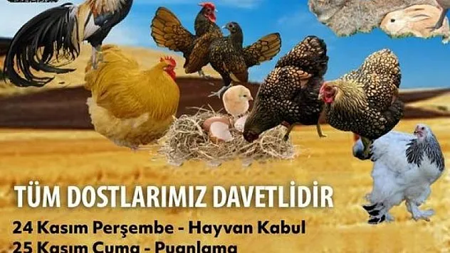 MUĞLA'DA BİRBİRİNDEN ÇEŞİT SÜS HAYVANLARI KIYASIYA YARIŞACAK