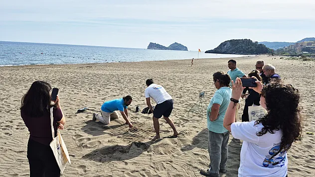 Muğla'da caretta carettaların yuvalama dönemi sürüyor