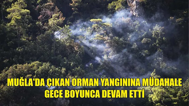 Muğla'da çıkan orman yangınına müdahale gece boyunca devam etti