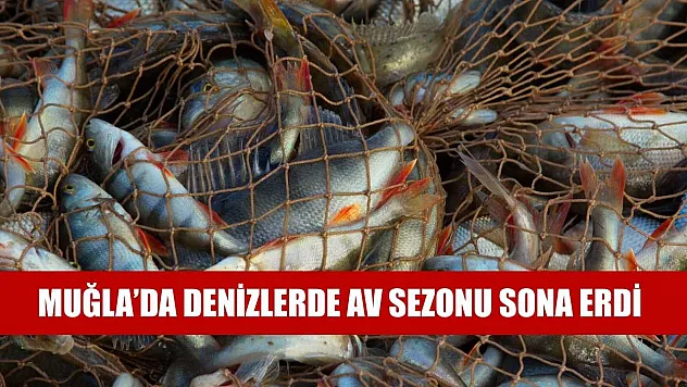 Muğla'da denizlerde av sezonu sona erdi
