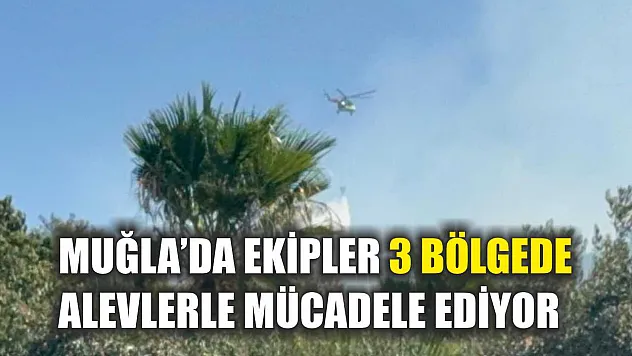 Muğla'da ekipler 3 bölgede alevlerle mücadele ediyor