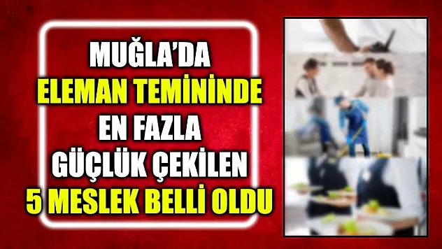 Muğla'da Eleman Temininde En Fazla Güçlük Çekilen 5 Meslek Belli Oldu