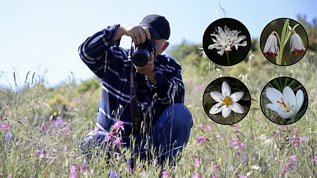 Muğla'da emekli eczacının doğa tutkusu yeni bitki türlerinin keşfini sağlıyor