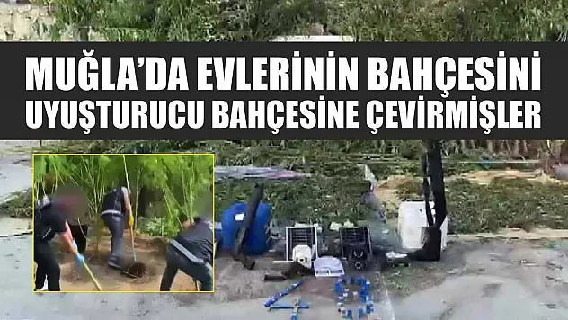 Muğla'da evlerinin bahçesini uyuşturucu bahçesine çevirmişler