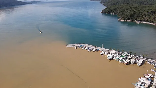 Muğla'da Gökova Körfezi'nin rengi değişti