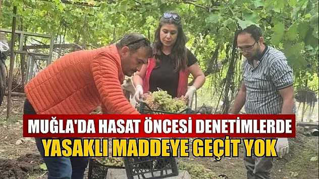 Muğla'da hasat öncesi denetimlerde yasaklı maddeye geçit yok
