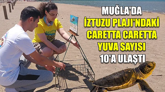 Muğla'da İztuzu Plajı'ndaki caretta caretta yuva sayısı 10'a ulaştı