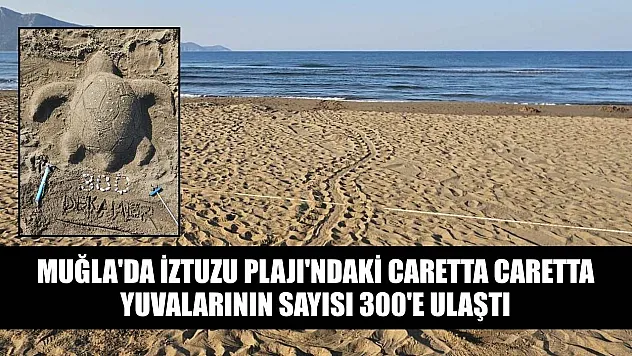 Muğla'da İztuzu Plajı'ndaki caretta caretta yuvalarının sayısı 300'e ulaştı