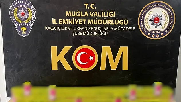 Muğla'da kaçakçılık operasyonunda 3 şüpheli tutuklandı