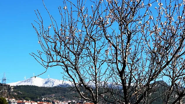 Muğla'da kış ve bahar aynı karede
