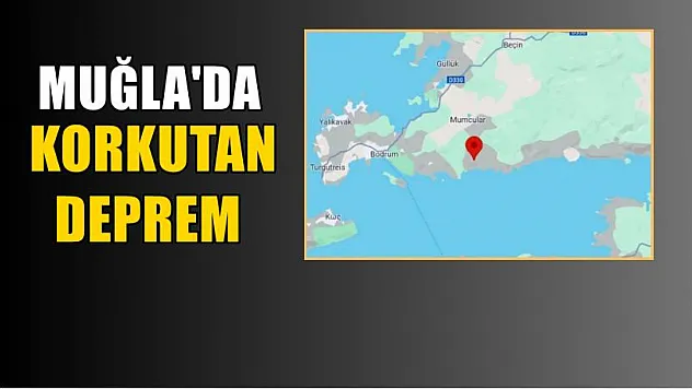Muğla'da korkutan deprem